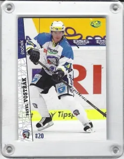 Vostřák Pavel OFS 2011-12  č.356
