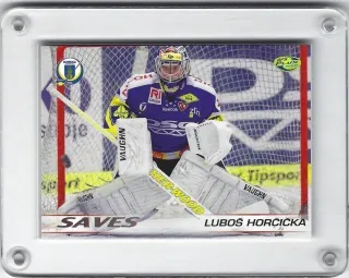 Horčička Luboš OFS 2011-12 Saves č.saves01