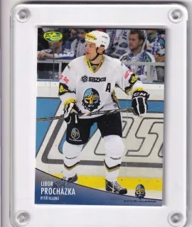 Procházka Libor OFS 2012-13  č.15