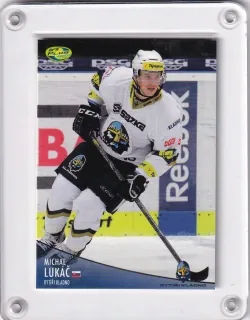 Lukáč Michal OFS 2012-13  č.22