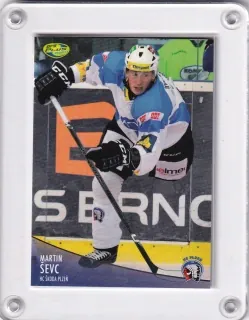 Ševc Martin OFS 2012-13  č.29