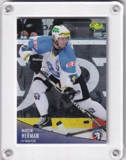 Heřman Martin OFS 2012-13  č.40