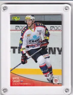 Šagát Martin OFS 2012-13  č.64