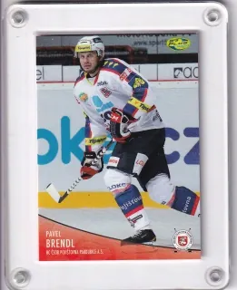 Brendl Pavel OFS 2012-13  č.65
