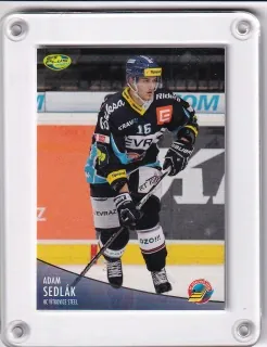 Sedlák Adam OFS 2012-13  č.76