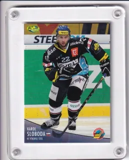 Sloboda Karol OFS 2012-13  č.82