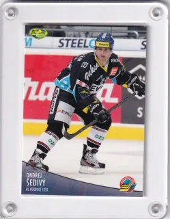 Šedivý Ondřej OFS 2012-13  č.89