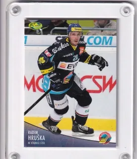 Hruška Radim OFS 2012-13  č.90