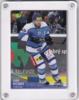 Bičánek Radim OFS 2012-13  č.116