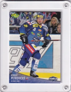 Petrovický Róbert OFS 2012-13  č.117