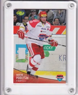Podlešák Martin OFS 2012-13  č.129