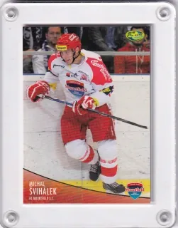 Švihálek Michal OFS 2012-13  č.131