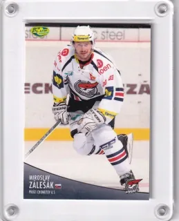Zálešák Miroslav OFS 2012-13  č.159