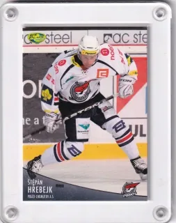 Hřebejk Štěpán OFS 2012-13  č.163