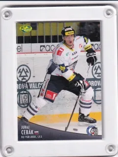 Cebák Juraj OFS 2012-13 Rookie č.173