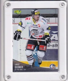 Derner Lukáš OFS 2012-13  č.175