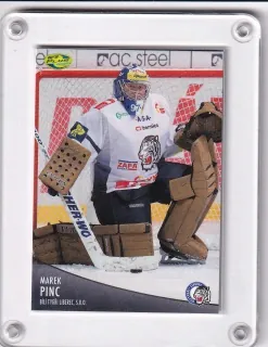 Pinc Marek OFS 2012-13  č.178