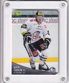 Čakajík Martin OFS 2012-13 DIE-CUT č.179