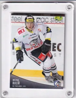 Bulíř Michal OFS 2012-13  č.180