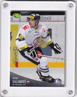 Galamboš Peter OFS 2012-13 Rookie č.182