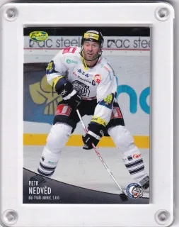 Nedvěd Petr OFS 2012-13  č.183