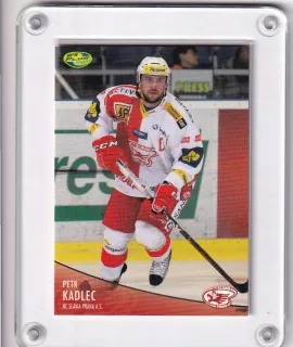Kadlec Petr OFS 2012-13  č.194