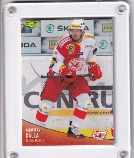 Kalla Jaroslav OFS 2012-13  č.202