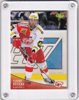 Růžička Vladimír OFS 2012-13  č.211