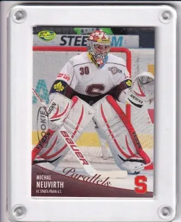Neuvirth Michal  OFS 2012-13 Parallels /250 č.221P