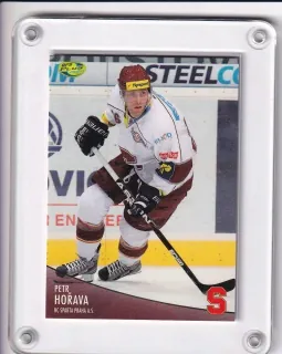 Hořava Petr OFS 2012-13  č.231