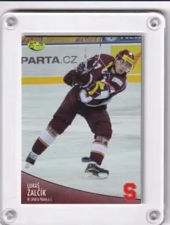 Žalčík Lukáš OFS 2012-13  č.236