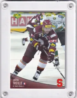 Treille Sacha OFS 2012-13  č.238