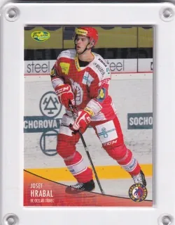 Hrabal Josef OFS 2012-13  č.247