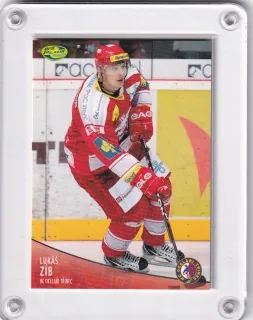 Zíb Lukáš OFS 2012-13  č.249