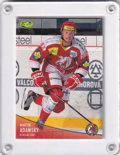 Adamský Martin OFS 2012-13  č.251