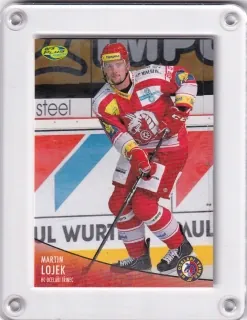 Lojek Martin OFS 2012-13  č.252