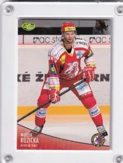 Růžička Martin OFS 2012-13  č.254
