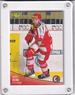 Bonk Radek OFS 2012-13  č.256