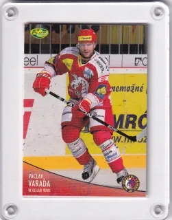 Varaďa Václav OFS 2012-13  č.261