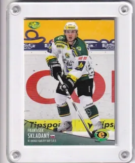 Skladaný František OFS 2012-13  č.265