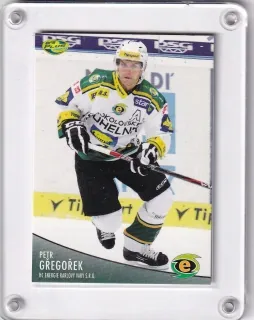 Gřegořek Petr OFS 2012-13  č.276