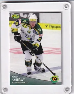 Skuhravý Václav OFS 2012-13  č.283