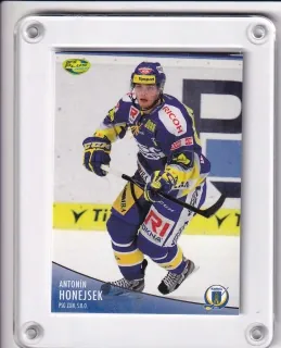 Honejsek Antonín OFS 2012-13  č.285