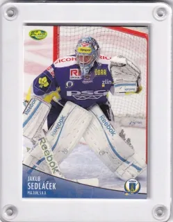 Sedláček Jakub OFS 2012-13  č.289