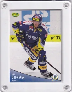 Ondráček Jiří OFS 2012-13  č.291