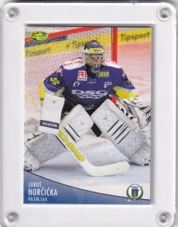 Horčička Luboš OFS 2012-13  č.292