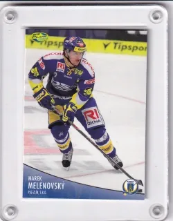 Melenovský Marek OFS 2012-13  č.293