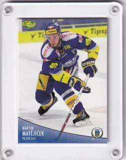Matějíček Martin OFS 2012-13  č.295