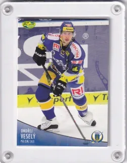 Veselý Ondřej OFS 2012-13  č.298