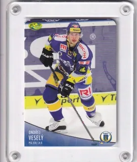 Veselý Ondřej OFS 2012-13 DIE-CUT č.298